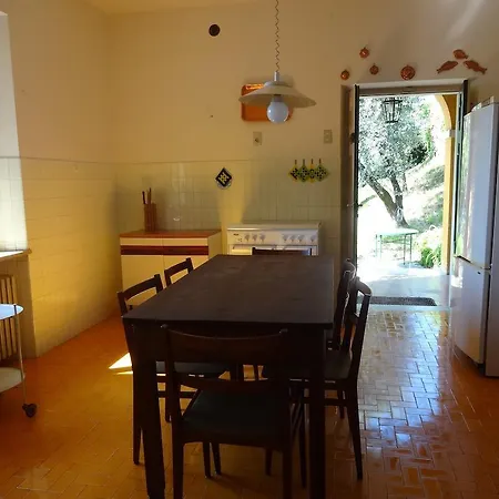Sanesi